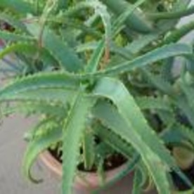 95w0qeqt2zxtcm 95w0qeqt2zxtcm